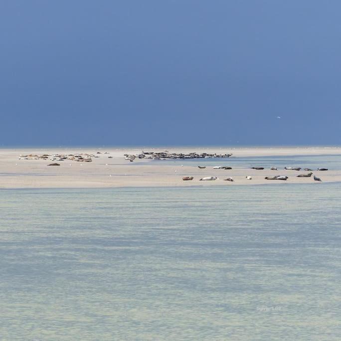 Vue Mer Berck Екстериор снимка