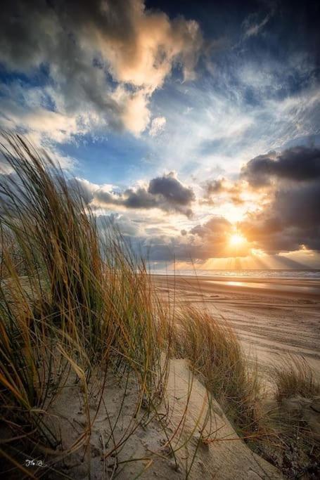 Vue Mer Berck Екстериор снимка